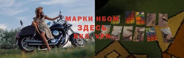 меф Дмитриев
