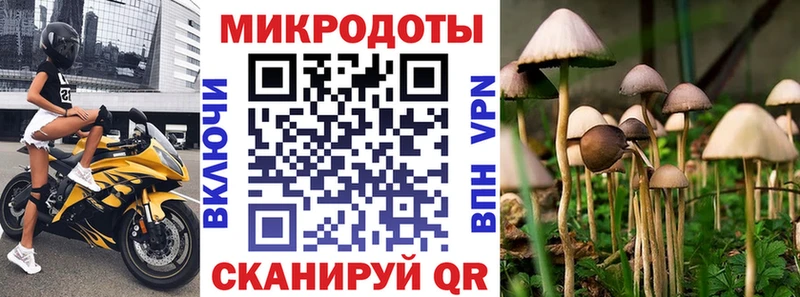 Галлюциногенные грибы прущие грибы  Кыштым 